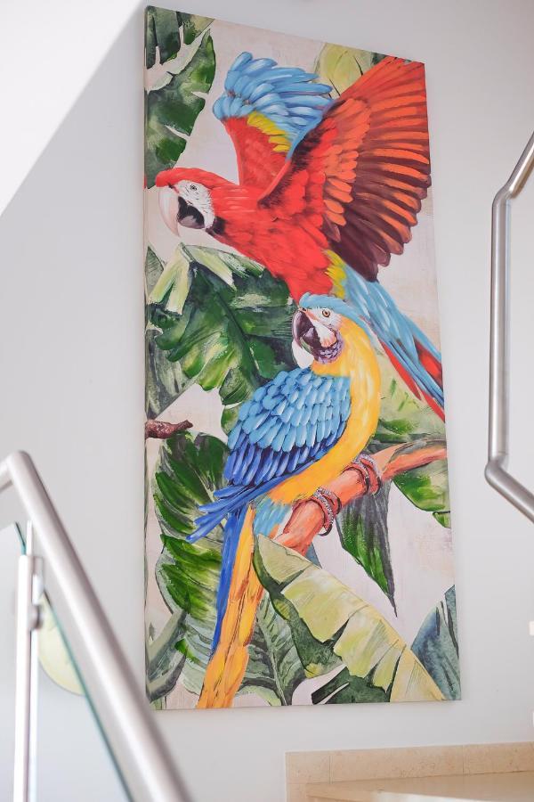 Apartament Amazing Views Casa Hummingbird Lagos Zewnętrze zdjęcie